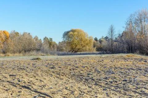 First Frost Stock Photos