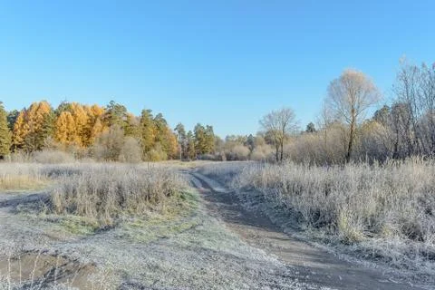 First Frost Stock Photos