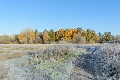 First Frost Stock Photos