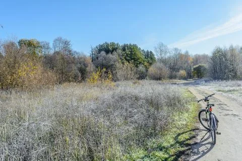 First Frost Stock Photos