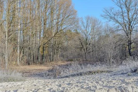 First Frost Stock Photos