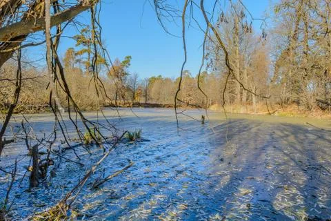 First Frost Stock Photos