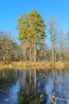First Frost Foto stock