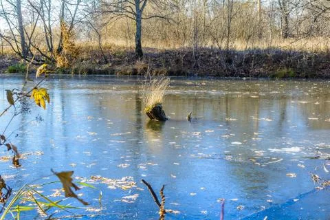 First Frost Stock Photos