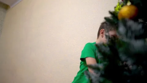 A first-grader boy decorates an artificial Christmas tree at home Stock Footage 323081804