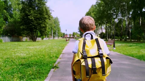 A first-grader boy goes to school with a backpack Stock Footage 323164137