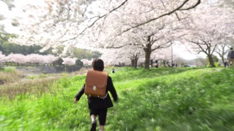 A First Grader Boy Running in the Meadow Stock Footage 331979754