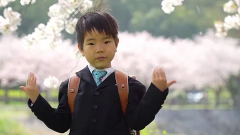A First Grader Boy Smiling in a Cherry Blossom Snowstorm Stock Footage 331979735