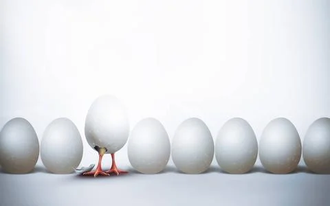 First hatched chicken First hatched chicken in shell, 3D concept design im... Stock Photos