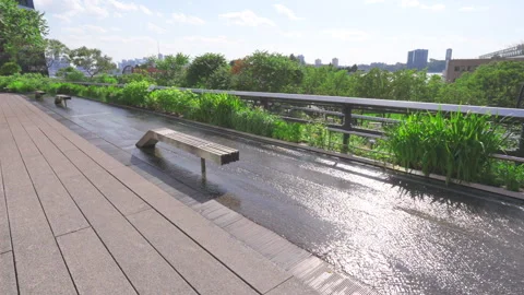 First Heat Wave hits in New York City on 2025 Vídeo Stock 312125979