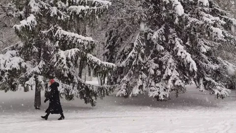 First heavy snowfall hit the city streets. Stock Footage 318729771