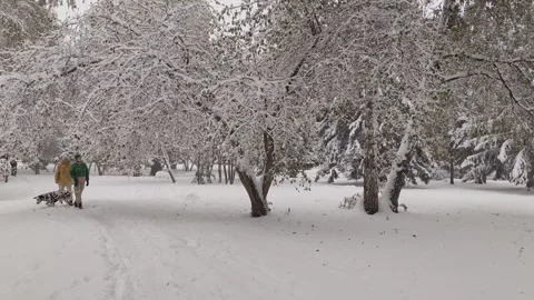 First heavy snowfall hit the city streets. Stock Footage 318729801