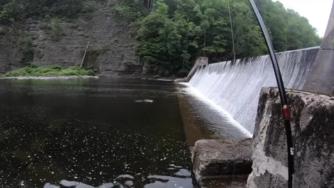 First hookset of the day Stock-Footage 336030500
