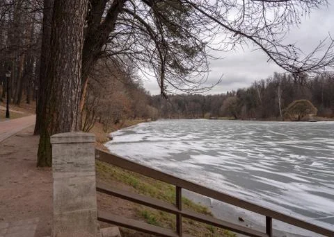 The first ice on the pond Stock Photos