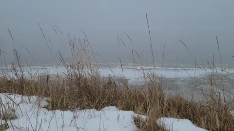 First ice on the river at the beginning of winter Video stock 255486241