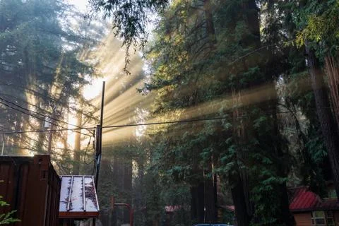 First Light At Big Sur Campgrounds Stock Photos