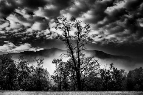 First Light in Cade's Cove Stock Photos