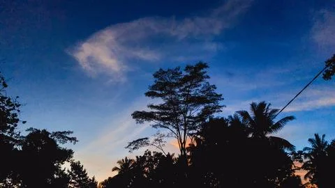 First light of dawn casting a golden glow in the dark blue sky Stock Photos