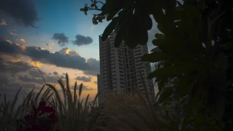 First Light Stock Footage 154595175