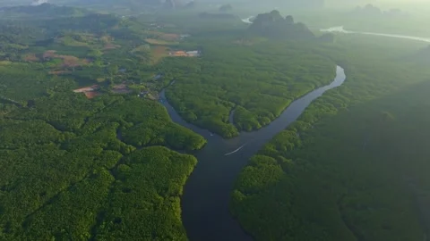 First light hits the bay and winding river in lush mountain forest, Thailand Stock Footage 310166112