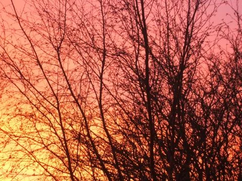 First Light Stock Photos