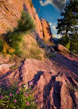 First Light on Red Rocks Trail Stock Photos