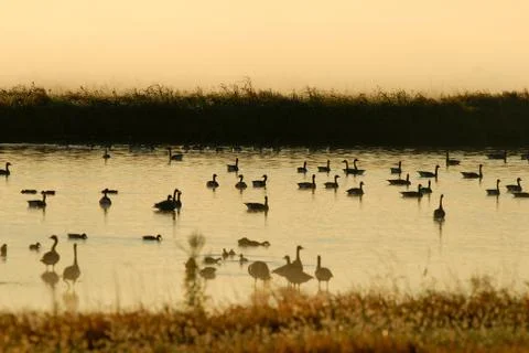 First Light On The Refuge Stock Photos