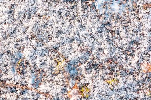 First light snow at the beginning of winter on surface of a gravel path. Symb Stock Photos