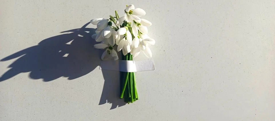 “First Light of Spring” Stock Photos