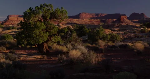 First morning light in the canyonlands, Glenn Canyon National Recreation Area 動画素材 59207176