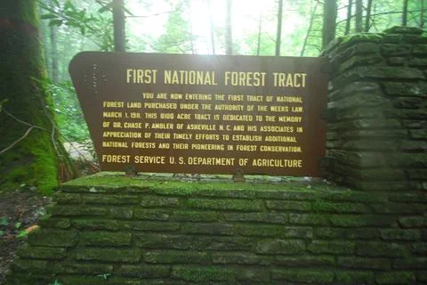 First National Forest Stock Photos