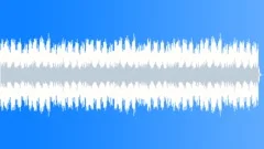 The First NoelStock Music
