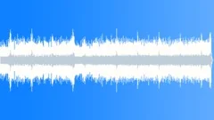 The First NoelStock Music