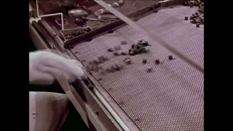 The first nuclear power plant opens at S... | Stock Video | Pond5