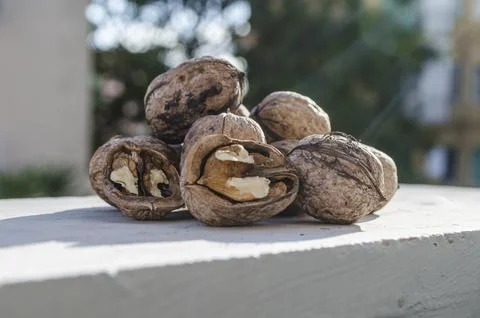 The first nuts of autumn for you Stock Photos