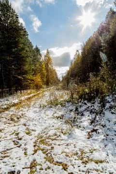 First October snow 스톡 사진