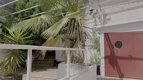 FIRST PACHA DISCOTHEQUE IN THE WORLD 動画素材 284218856