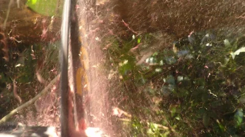 First-Person Chainsawing Stock Footage 95658241