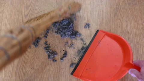 First-person cleaning Stock Footage 171929734