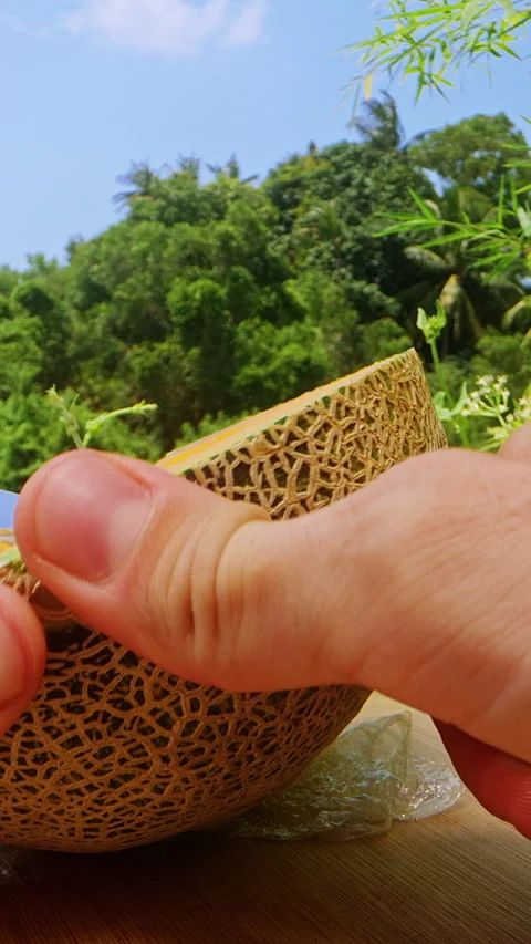 First Person Close Up Shot of Cutting Cantaloupe Melon Slice with Knife Showing Stock Footage 331148122