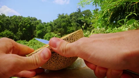First Person Close Up Shot of Cutting Cantaloupe Melon Slice with Knife Showing Stock Footage 331149700