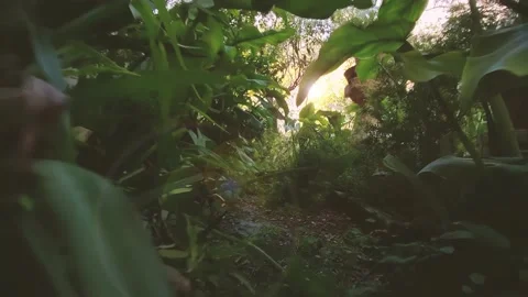 First-person low angle view of walking along a garden path Stock Footage 197782604