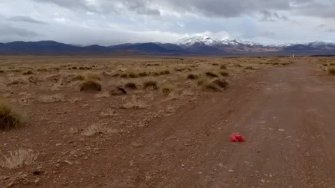First person perspective driving on a moroccan desert road towards snowy mo.. Stock Footage 330660131