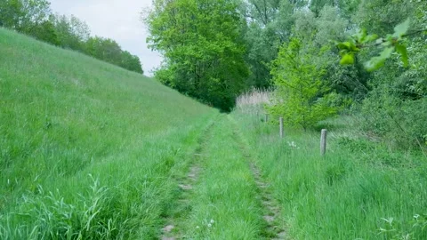 First-person perspective following a grass path Vidéo 336845716