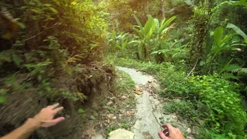 First Person Perspective of Hike along Tropical Nature Trail Vidéo 85548735