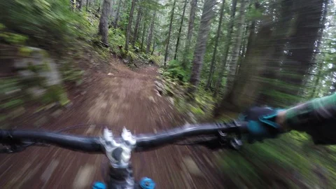 First Person Perspective Of A Man Mountain Biking Through A Bright Green Forest Video stock 103191336