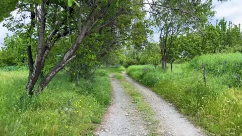 First person perspective moving along a winding gravel road through a lush Stock Footage 337225811