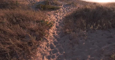 First person perspective walking across sand dunes to beach in summer. Stock Footage 135420475