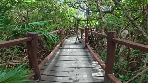 First person perspective walking along a boardwalk Vídeos de archivo 340213650