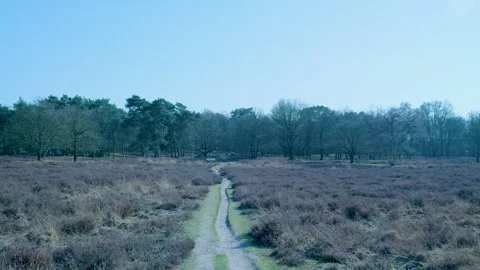 First person perspective walking on a path through a peaceful moorland Stock Footage 335027121